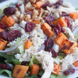 Thanksgiving Salad with Cranberry Poppy Seed Vinaigrette