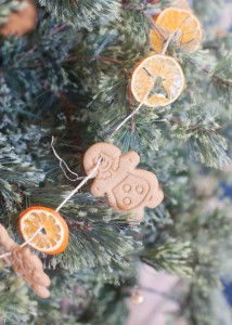 DIY Clementine and Gingerbread Garland | Boys Ahoyhttp://www.amazon.com/Pepperidge-Farm-Ginger-Family-Collection/dp/B00A27J0JS