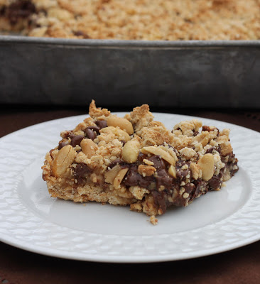 Chocolate Carnutty Bars