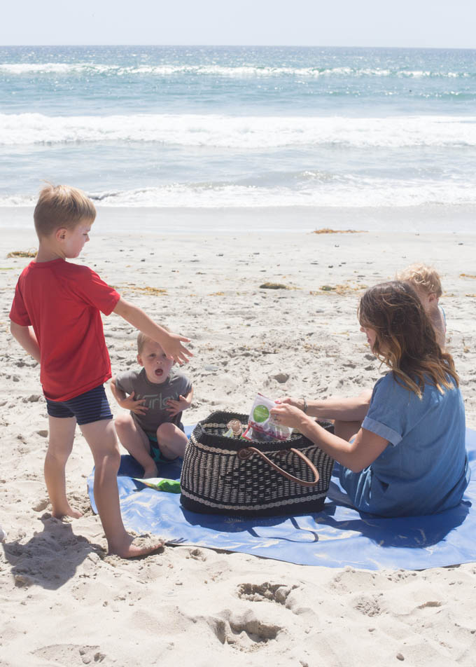 Howlpot Day Bag (Sandy Beach) S