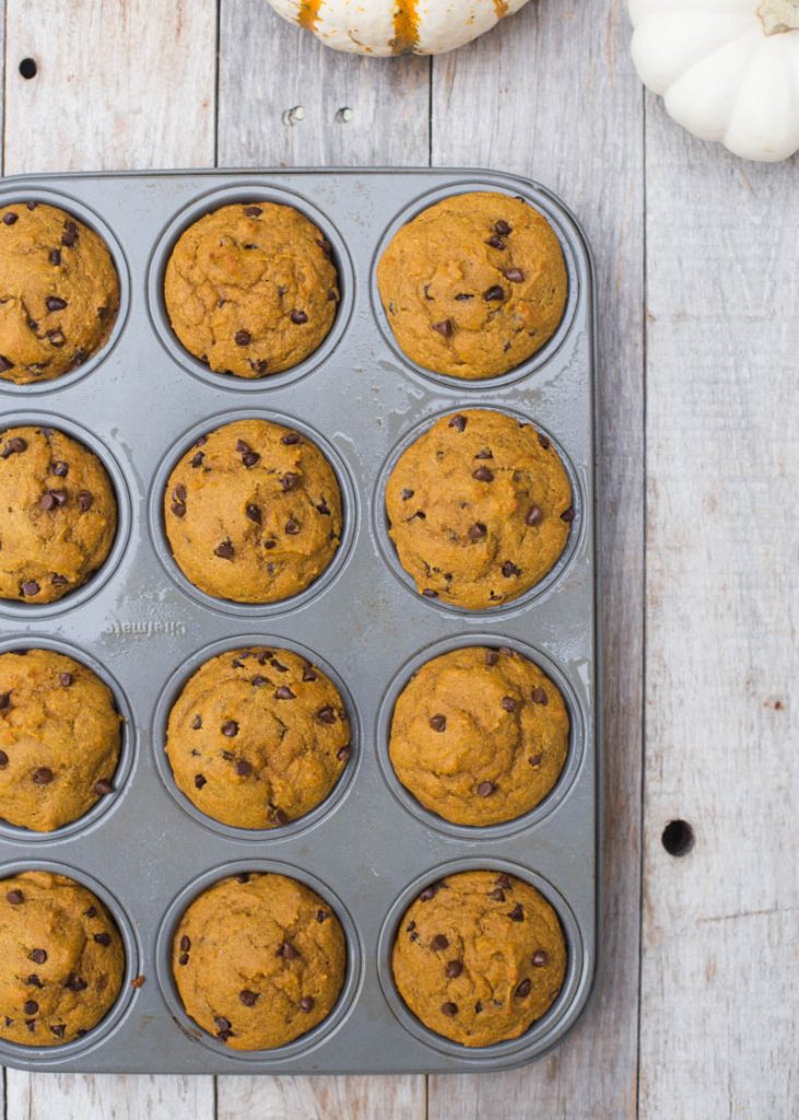 Healthy Kodiak Cakes Pumpkin Chocolate Chip Muffins