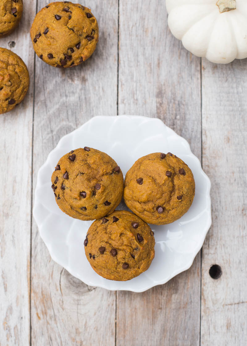 Healthy Kodiak Cakes Pumpkin Chocolate Chip Muffins Kristy Denney