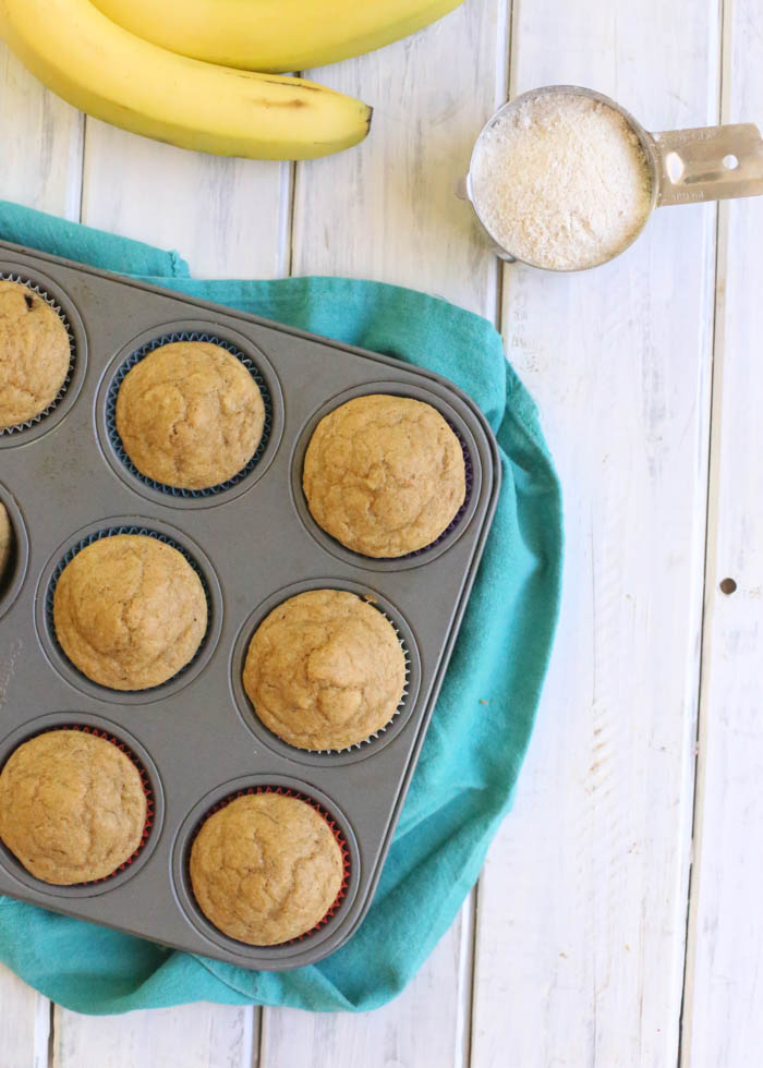 Healthy Kodiak Cakes Pumpkin Chocolate Chip Muffins Kristy Denney