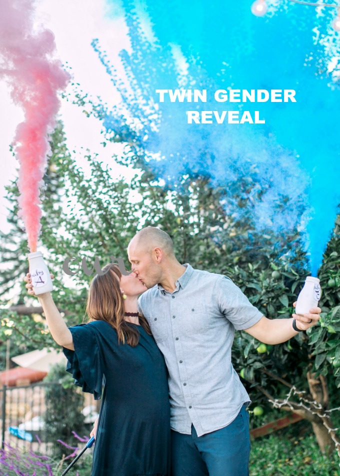 Our Twin Gender Reveal!