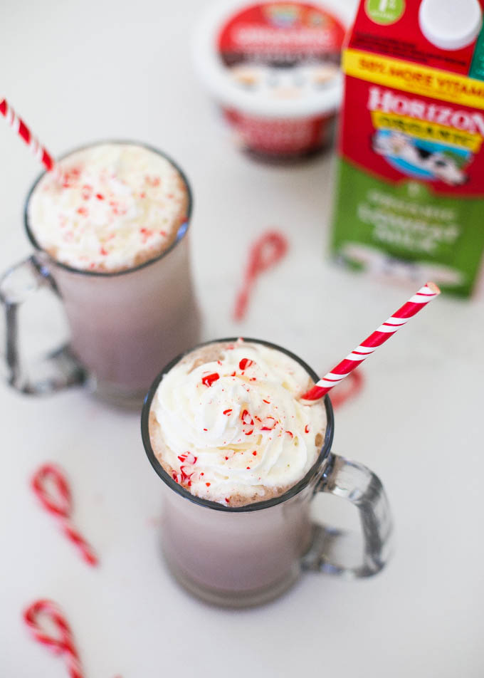 Chocolate Peppermint Protein Smoothie | Boys Ahoy
